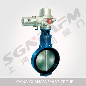 電動(dòng)對夾式襯膠中心蝶閥